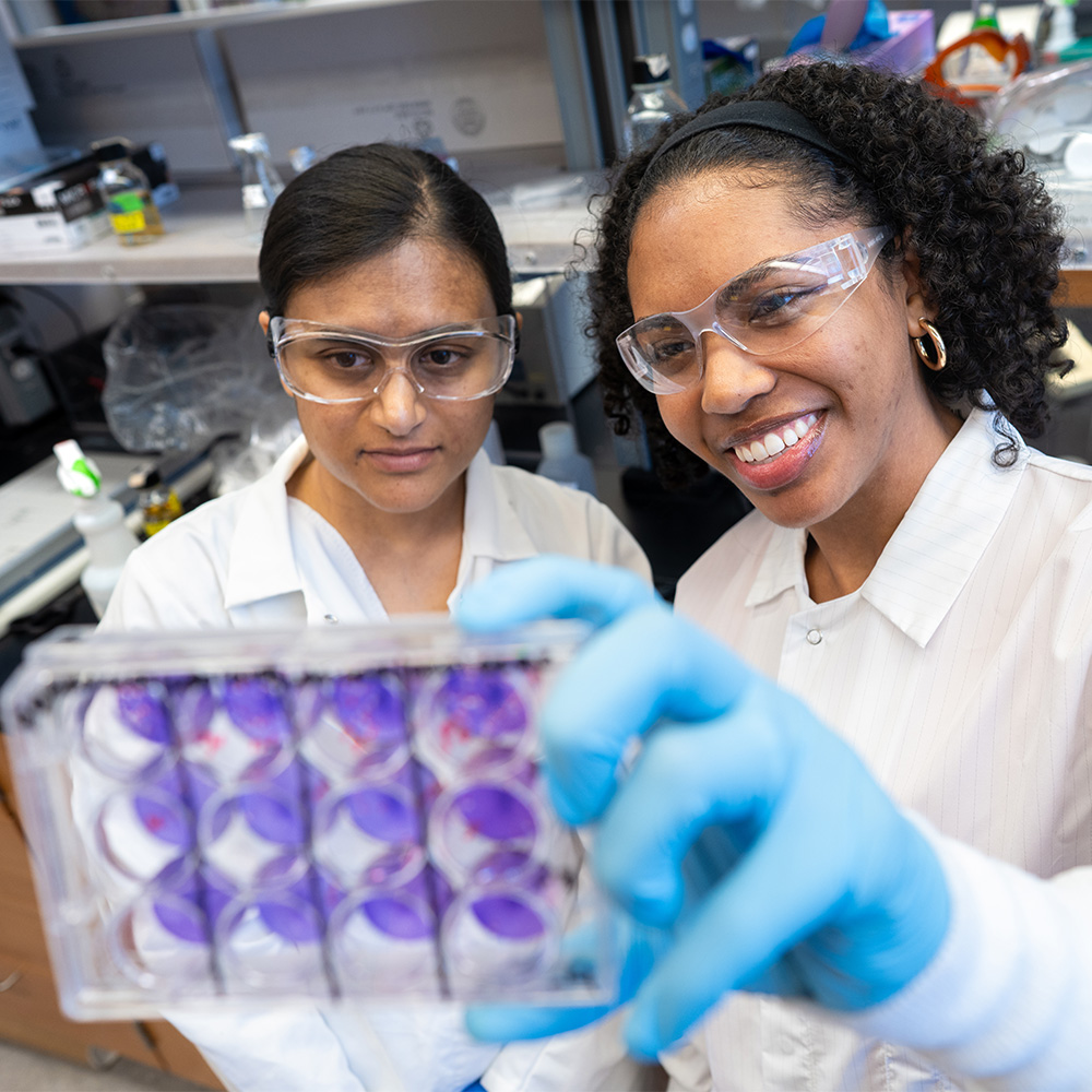 Two scientists in lab coats and goggles examine a purple-stained multiwell plate, one smiling.