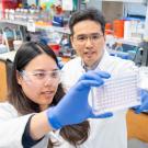 Two researchers in a lab, wearing goggles and blue gloves, examining a 96-well plate