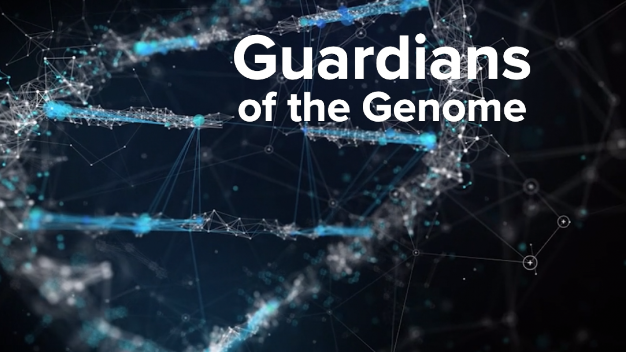 Guardians of the Genome
