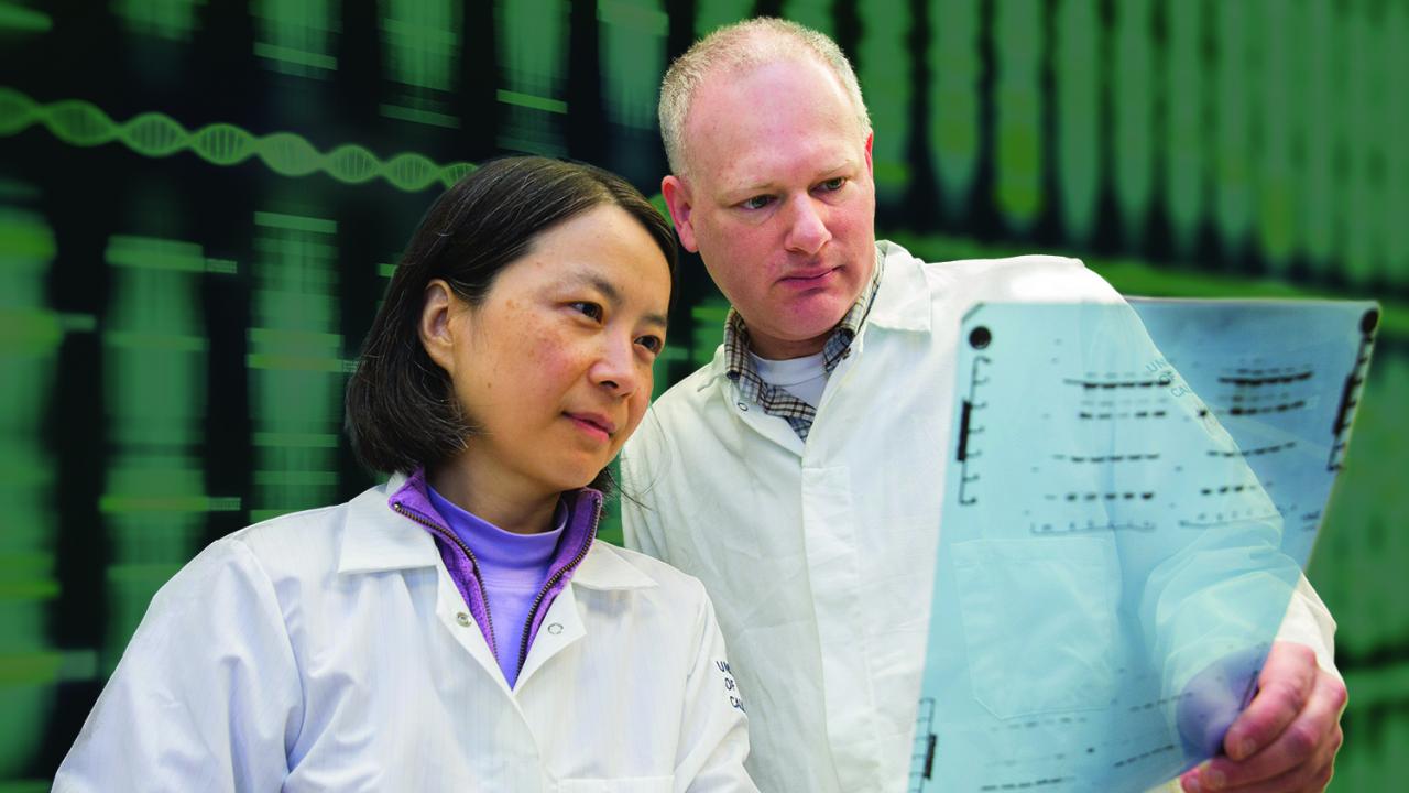 Lifeng Xu and Josh Meckler