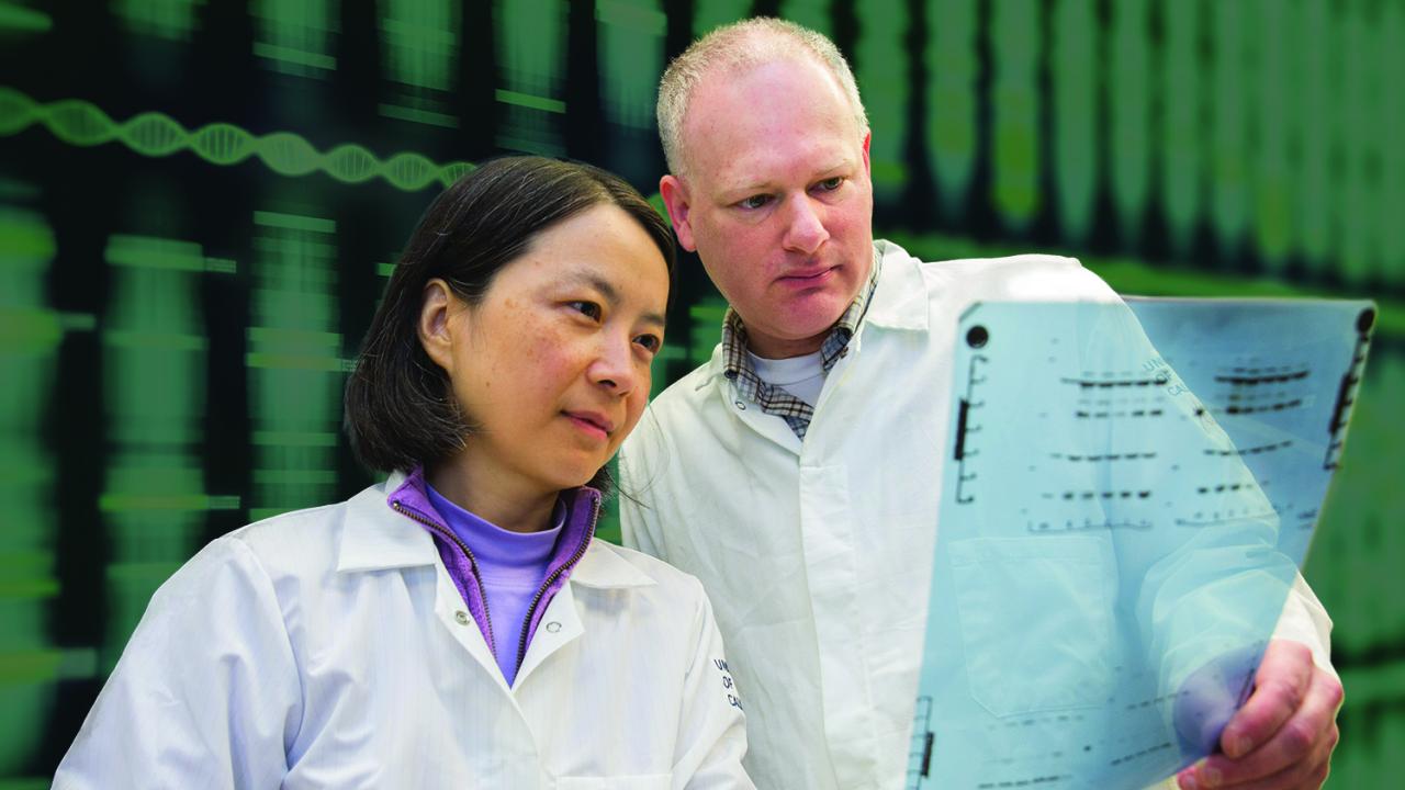 Lifeng Xu and Josh Meckler