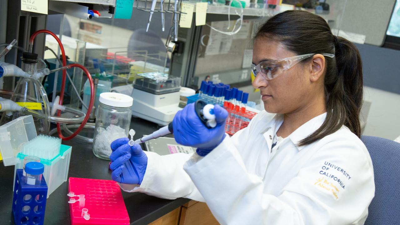 Priya Shah’s work in systems biology spans the Colleges of Engineering and of Biological Sciences. The approach is giving new insight into how dengue and Zika viruses attack human cells. David Slipher/UC Davis Priya Shah