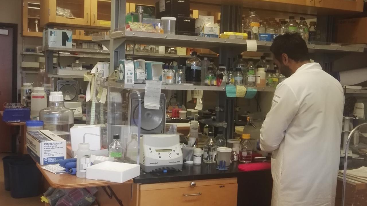 Xu Lab