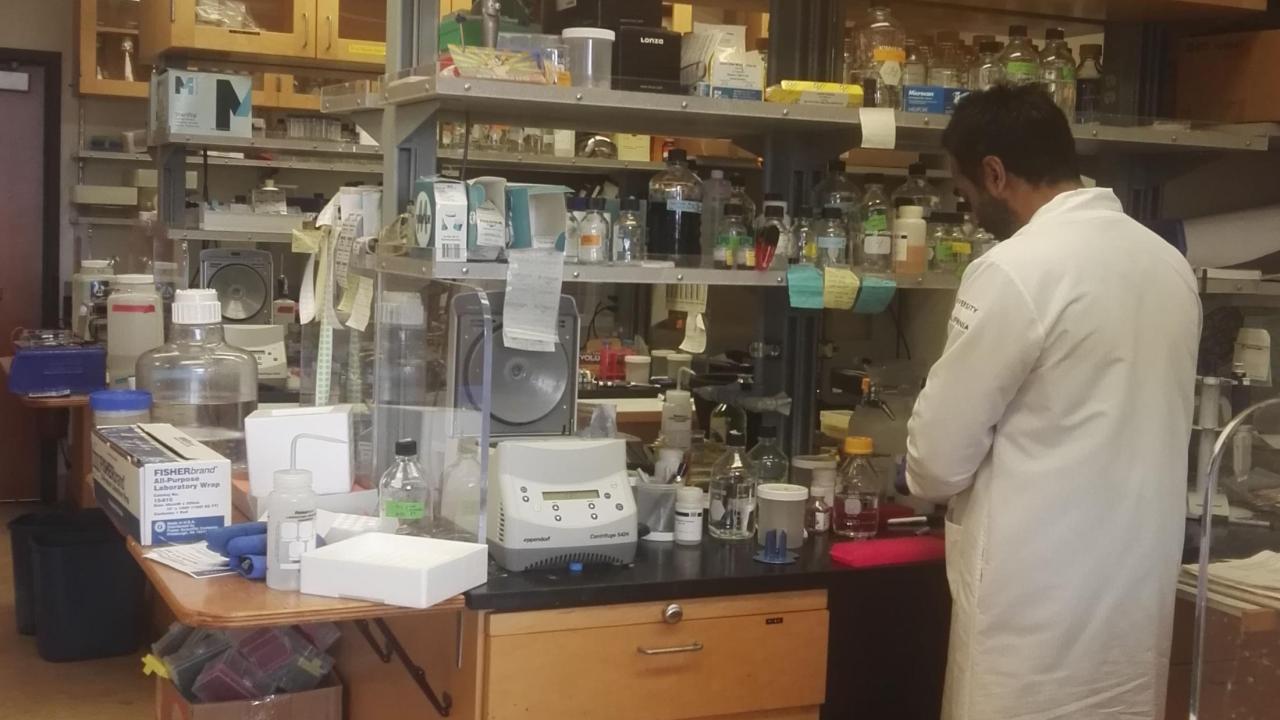 Xu Lab