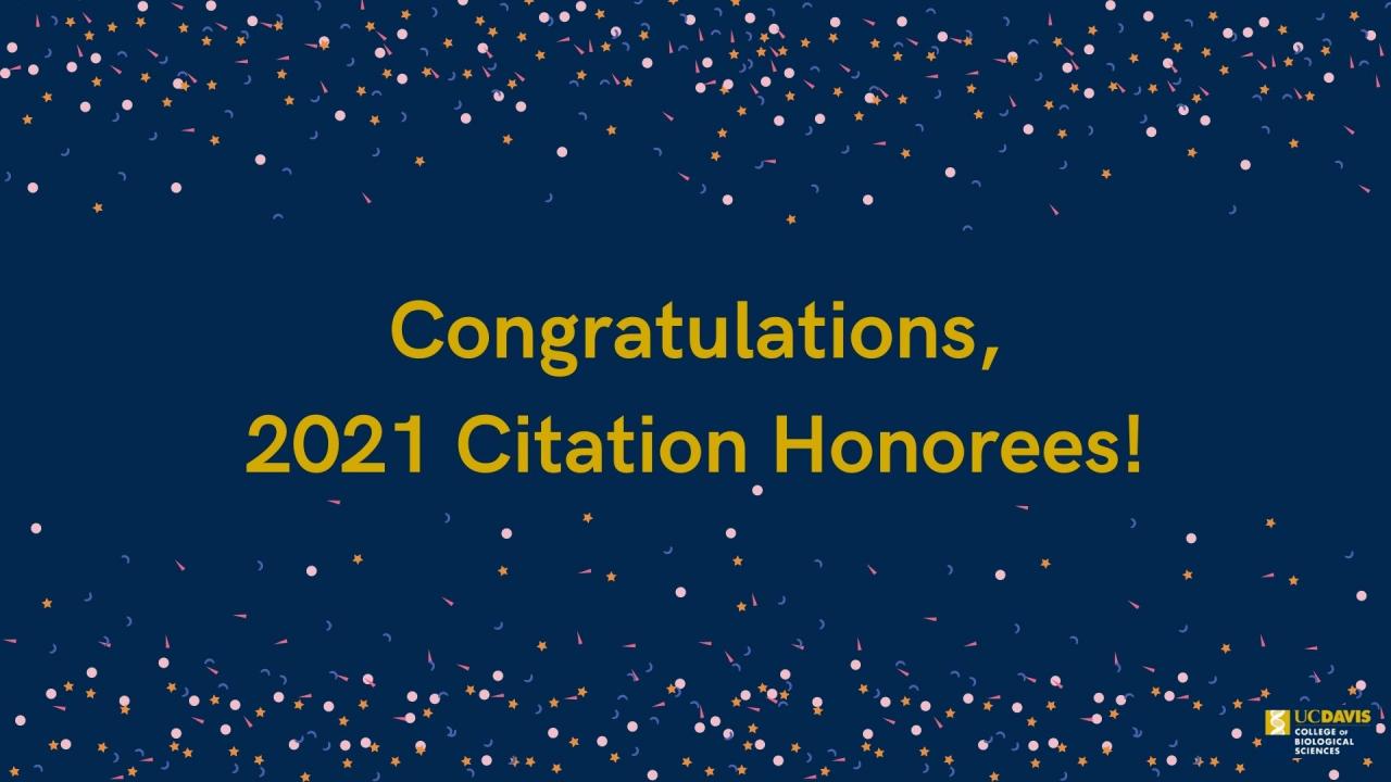 2021 Citation Awards