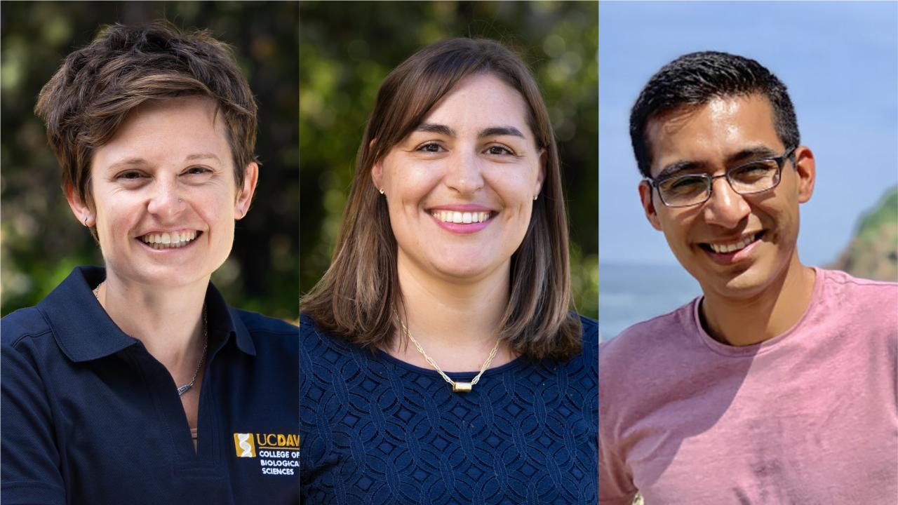 Three smiling individuals are photographed outdoors: one in a UC Davis polo, one in a blue top, and another wearing glasses.