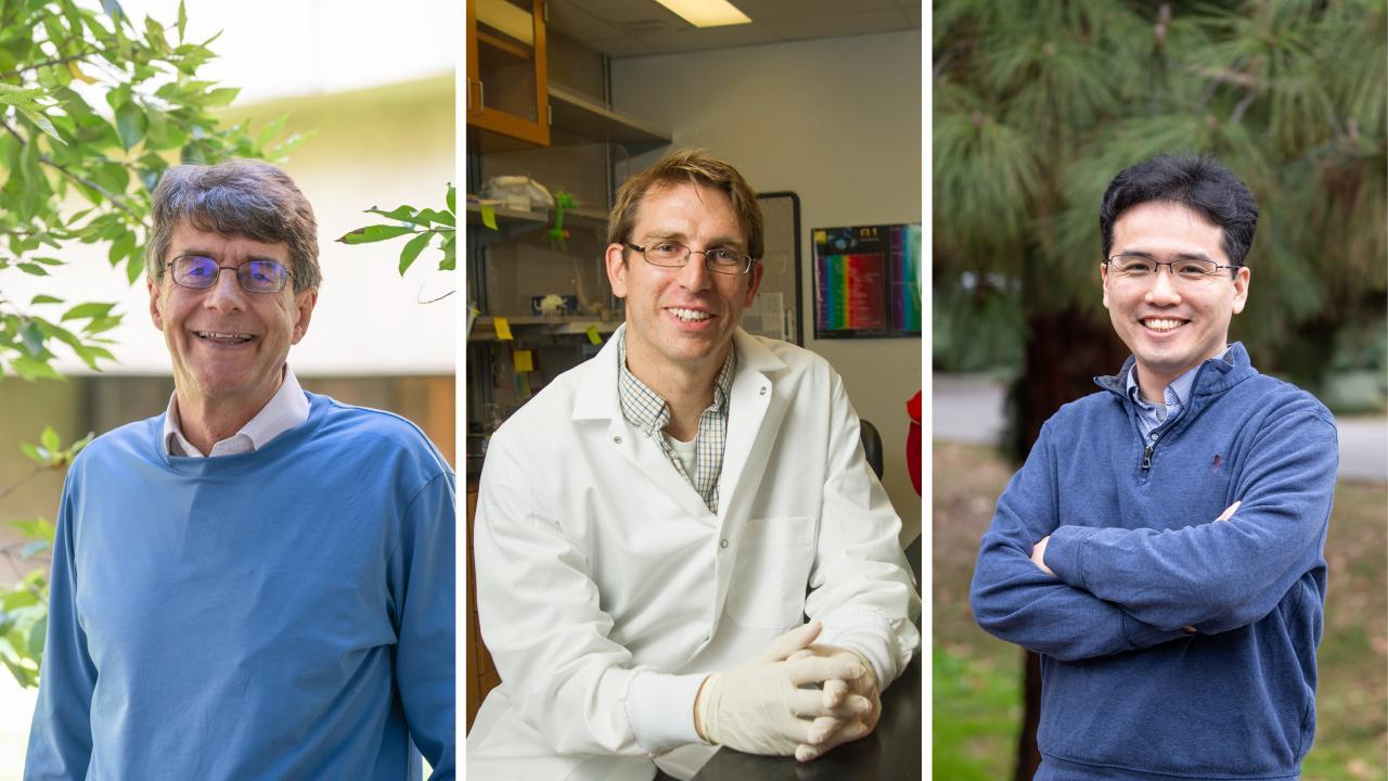 A composite image featuring three men. Left: a man with glasses and graying hair, smiling outdoors in front of green leaves, wearing a light blue pullover over a collared shirt. Center: a man with short blond hair and glasses, smiling in a laboratory while wearing a white lab coat and gloves. Right: a man with short black hair and glasses, smiling with arms crossed outdoors in front of tall green trees, wearing a dark blue pullover over a collared shirt.