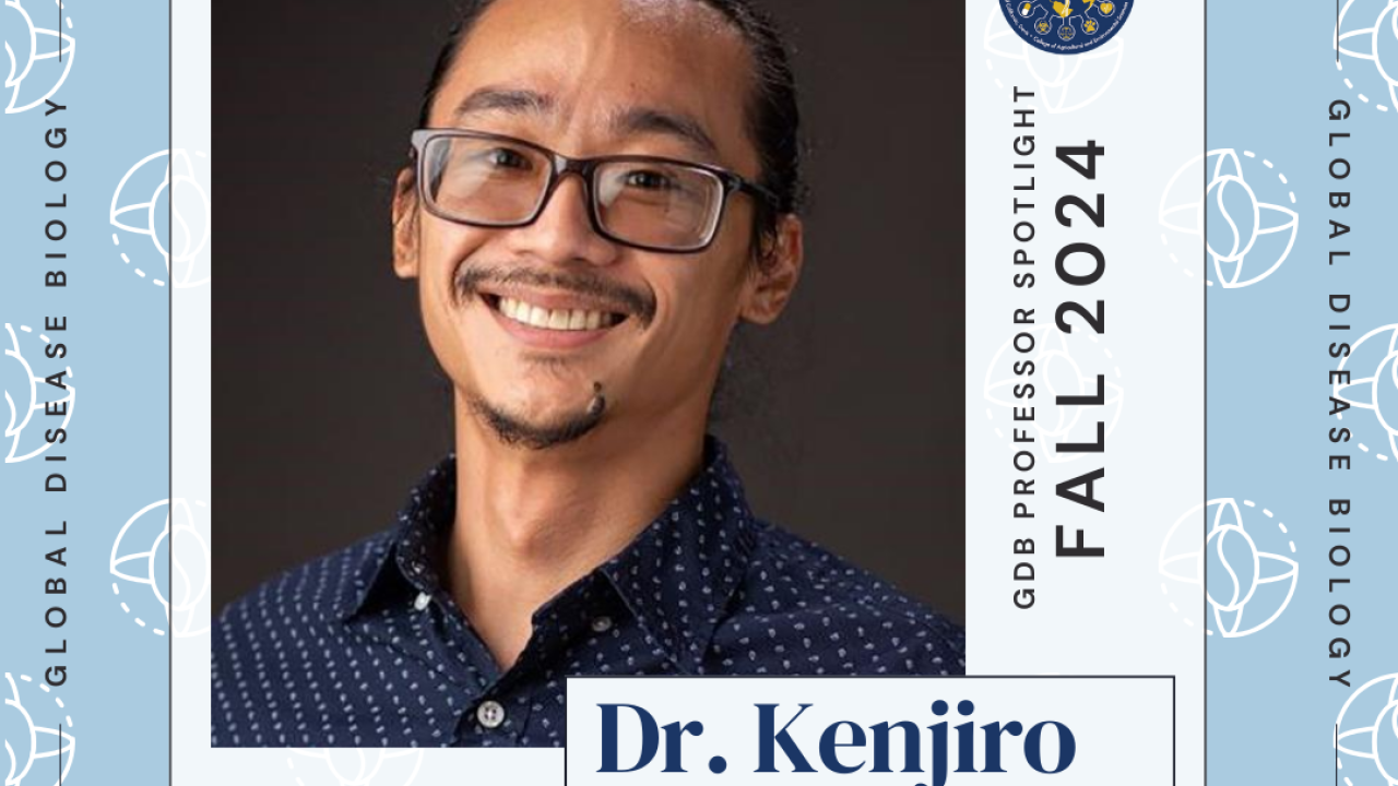 Kenjiro Quides