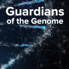 Guardians of the Genome