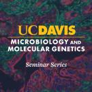 UC Davis Microbiology: Molecular Genetics seminar banner on colorful microscope background