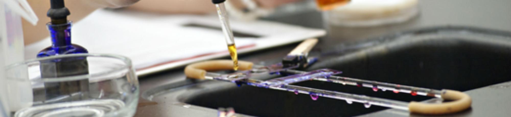 Microbiology Teaching Lab